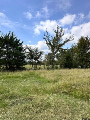 200 VZ CR 2422, Mabank, TX 75147