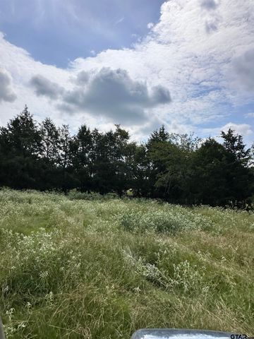 200 VZ CR 2422, Mabank, TX 75147