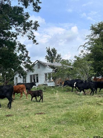 200 VZ CR 2422, Mabank, TX 75147
