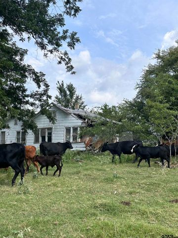 200 VZ CR 2422, Mabank, TX 75147
