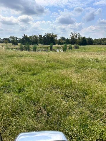 200 VZ CR 2422, Mabank, TX 75147