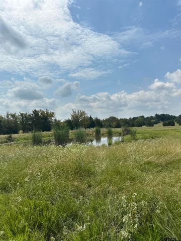 200 VZ CR 2422, Mabank, TX 75147