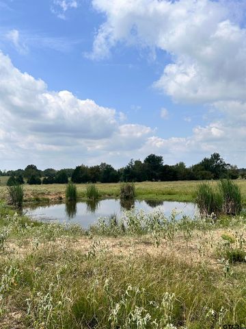 200 VZ CR 2422, Mabank, TX 75147