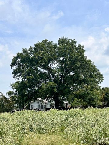 200 VZ CR 2422, Mabank, TX 75147
