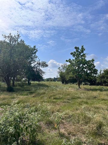 200 VZ CR 2422, Mabank, TX 75147