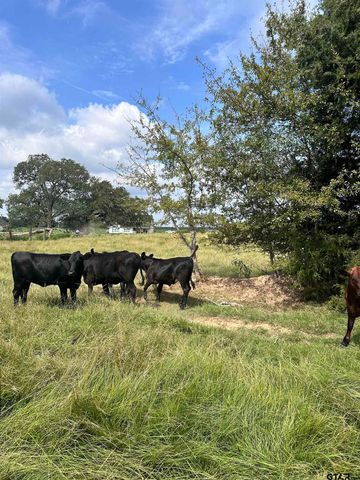 200 VZ CR 2422, Mabank, TX 75147