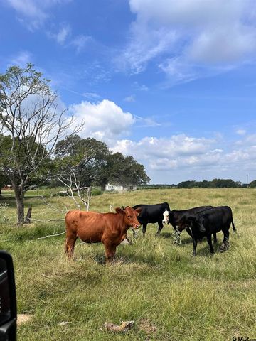 200 VZ CR 2422, Mabank, TX 75147