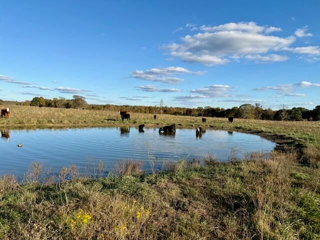 7474 County Road 2800, Mountain View, MO 65548