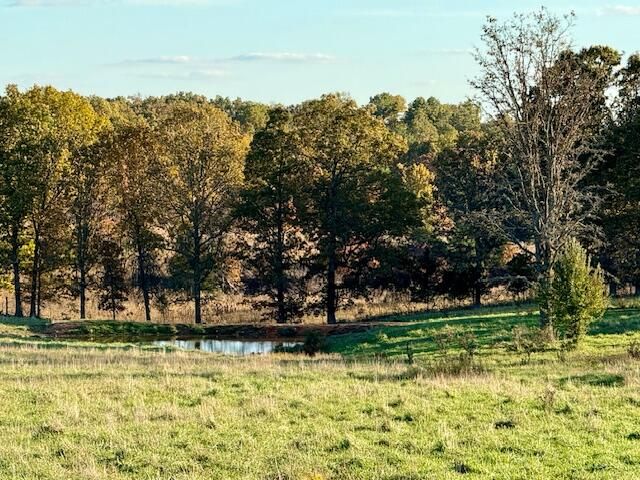 7474 County Road 2800, Mountain View, MO 65548