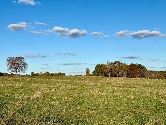 7474 County Road 2800, Mountain View, MO 65548