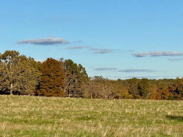 7474 County Road 2800, Mountain View, MO 65548