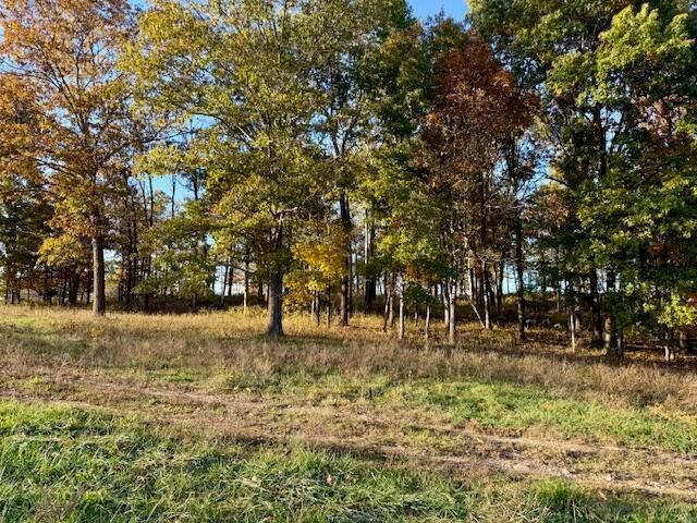 7474 County Road 2800, Mountain View, MO 65548