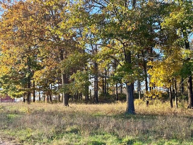 7474 County Road 2800, Mountain View, MO 65548