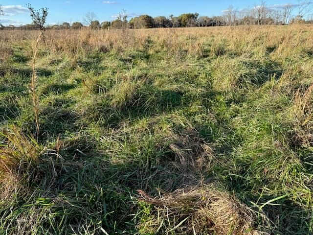 7474 County Road 2800, Mountain View, MO 65548