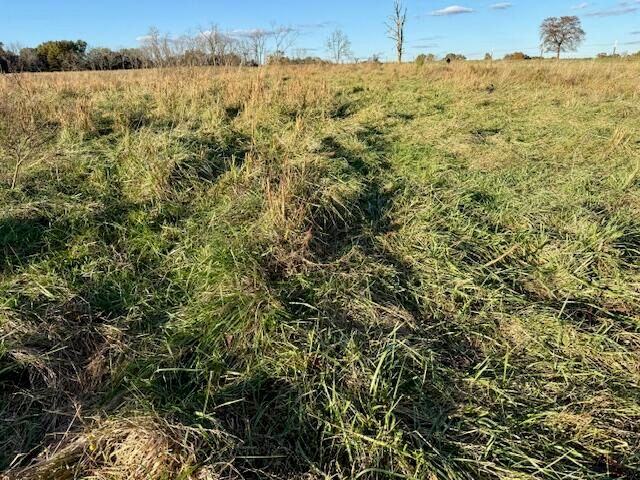 7474 County Road 2800, Mountain View, MO 65548