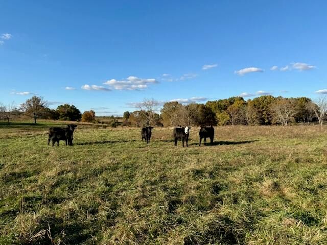 7474 County Road 2800, Mountain View, MO 65548