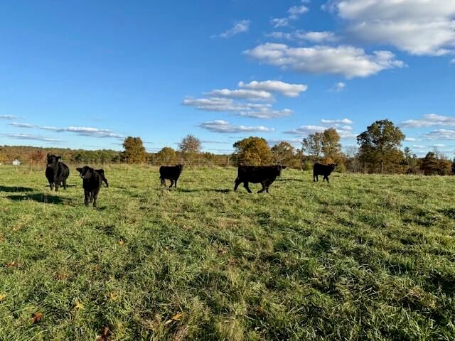 7474 County Road 2800, Mountain View, MO 65548