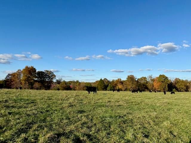 7474 County Road 2800, Mountain View, MO 65548