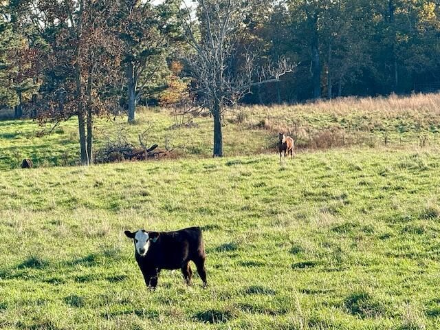 7474 County Road 2800, Mountain View, MO 65548