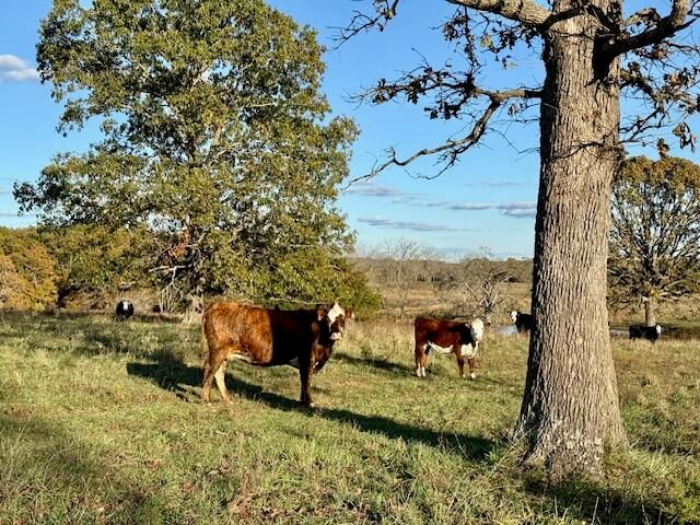 7474 County Road 2800, Mountain View, MO 65548