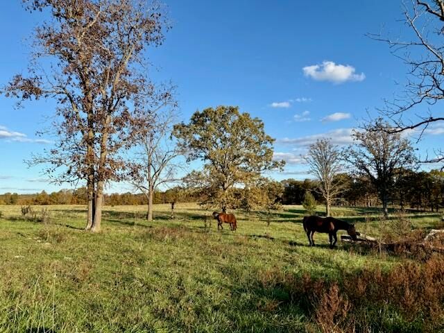 7474 County Road 2800, Mountain View, MO 65548