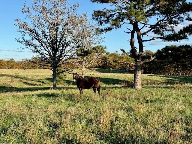 7474 County Road 2800, Mountain View, MO 65548