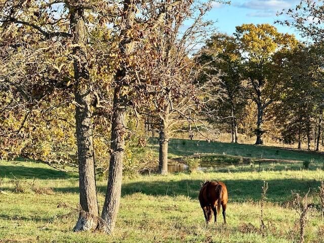 7474 County Road 2800, Mountain View, MO 65548