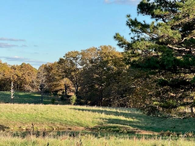 7474 County Road 2800, Mountain View, MO 65548