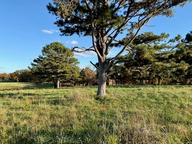 7474 County Road 2800, Mountain View, MO 65548