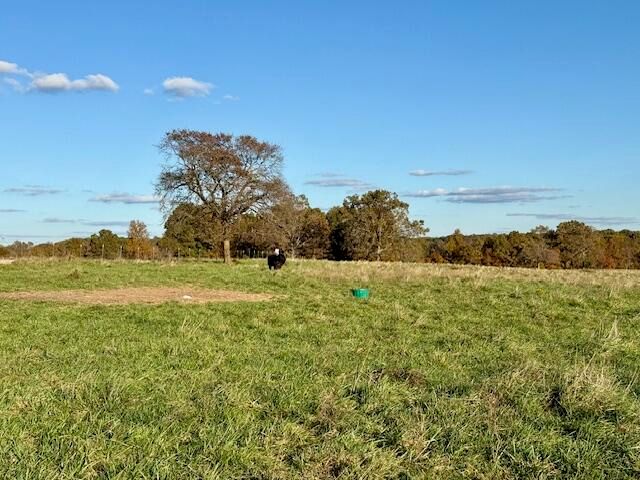 7474 County Road 2800, Mountain View, MO 65548