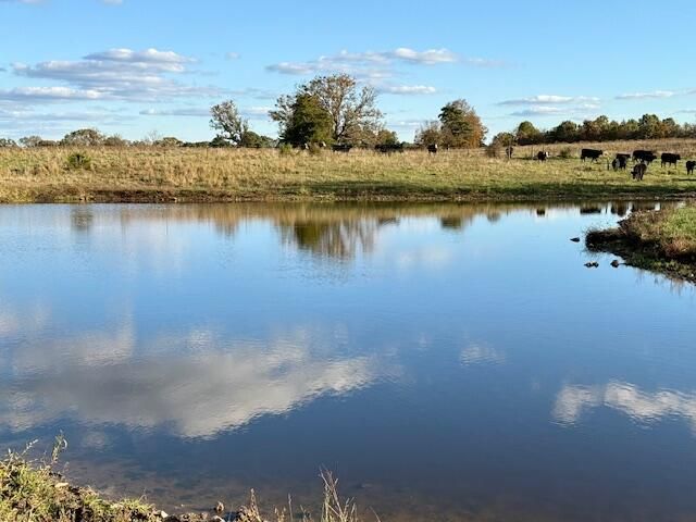 7474 County Road 2800, Mountain View, MO 65548