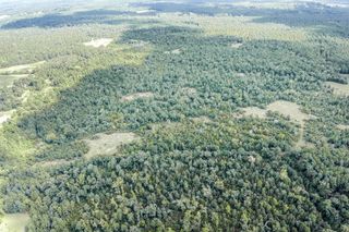 TR 5 Fm 942, Leggett, TX 77351