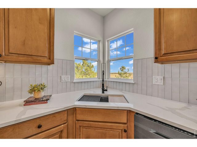 858 Dutton Ct, Castle Rock, CO 80104