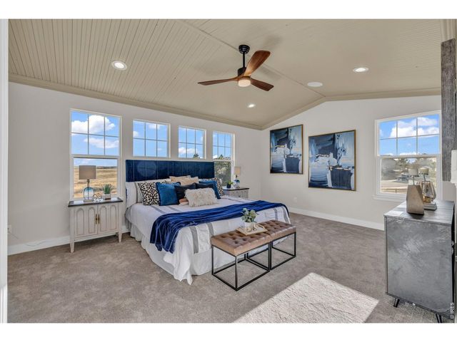 858 Dutton Ct, Castle Rock, CO 80104