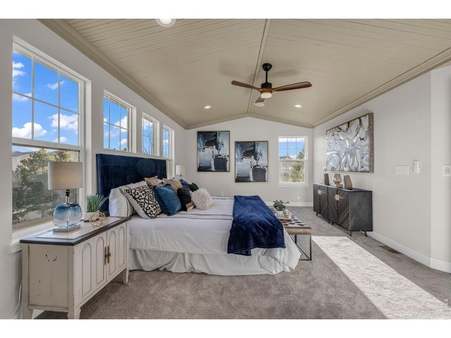 858 Dutton Ct, Castle Rock, CO 80104