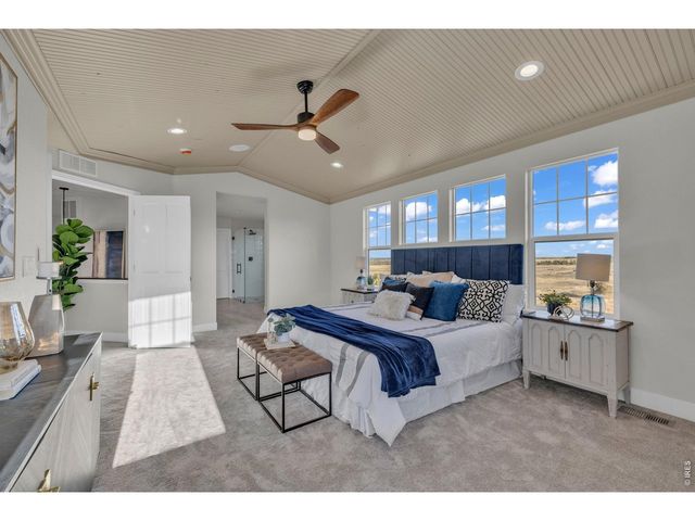 858 Dutton Ct, Castle Rock, CO 80104