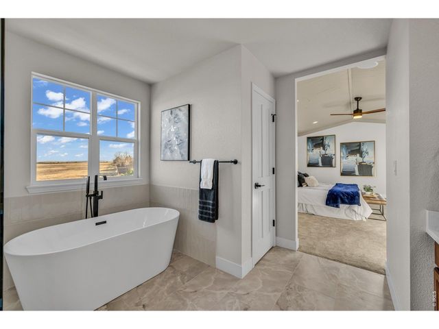 858 Dutton Ct, Castle Rock, CO 80104