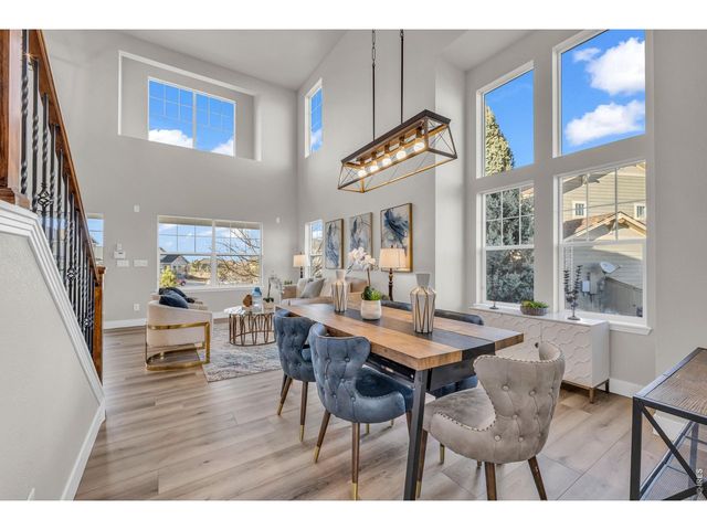 858 Dutton Ct, Castle Rock, CO 80104