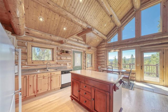 649 County Road 21 62, Leadville, CO 80461