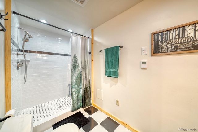 649 County Road 21 62, Leadville, CO 80461
