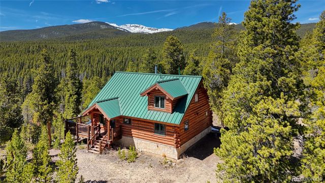 649 County Road 21 62, Leadville, CO 80461