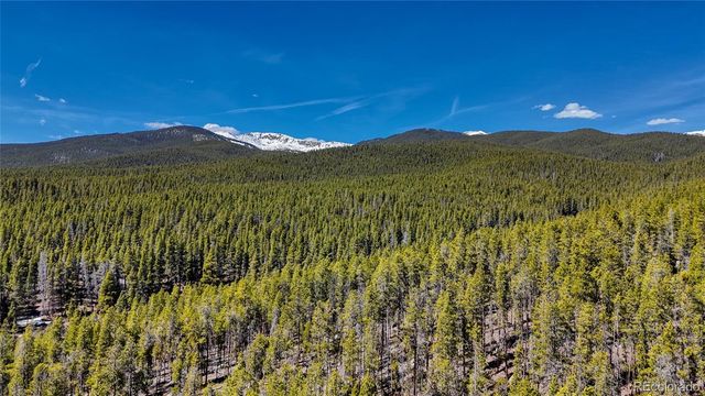 649 County Road 21 62, Leadville, CO 80461