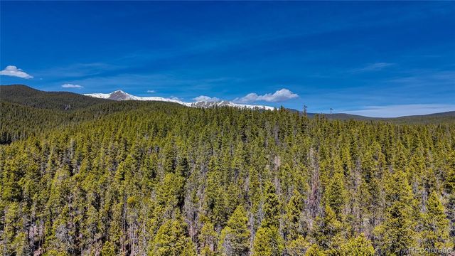 649 County Road 21 62, Leadville, CO 80461