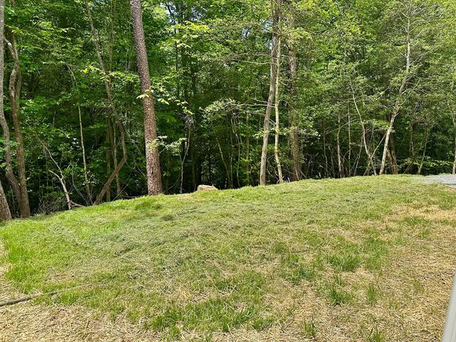 101 Sawyer Ridge Lane, Hayesville, NC 28904