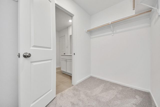 29643 Knollwood Bay Road, Waller, TX 77484