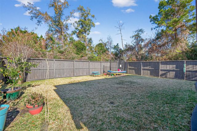 23704 Wood Green Terrace Drive, New Caney, TX 77357