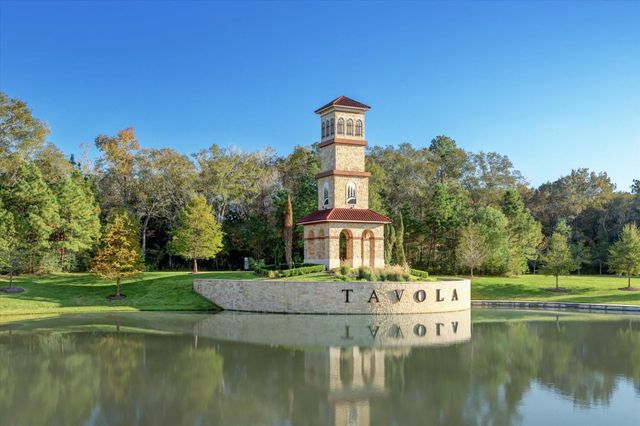 23704 Wood Green Terrace Drive, New Caney, TX 77357