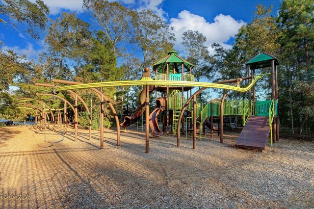 23704 Wood Green Terrace Drive, New Caney, TX 77357