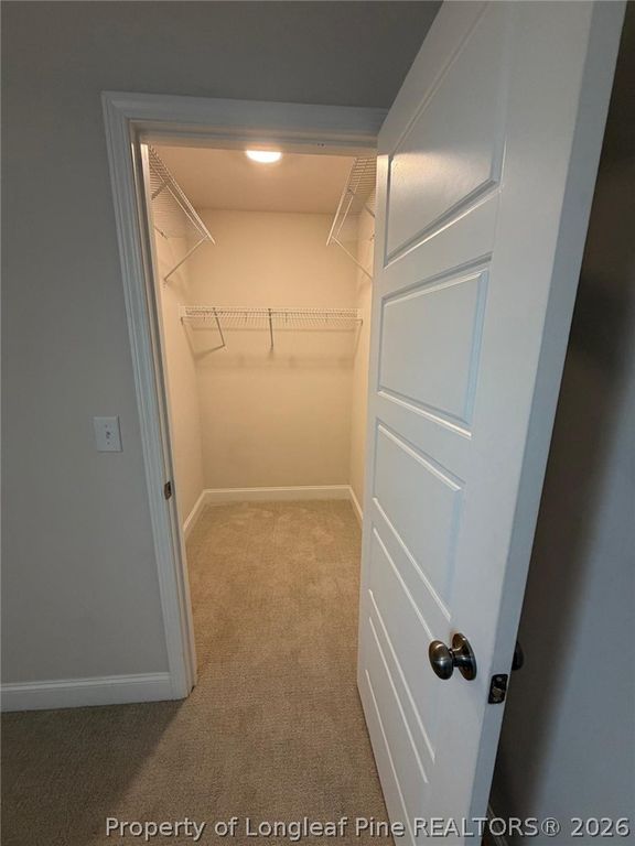 168 Placid Pond Drive, Broadway, NC 27505 — photo 21