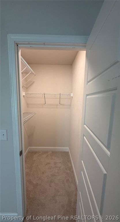 168 Placid Pond Drive, Broadway, NC 27505 — photo 24